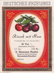 E. Hermann Nestler
