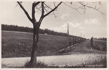 1915, Walderhohlungsstätte "Park Ottilienfeld" Hohenstein-Ernstthal