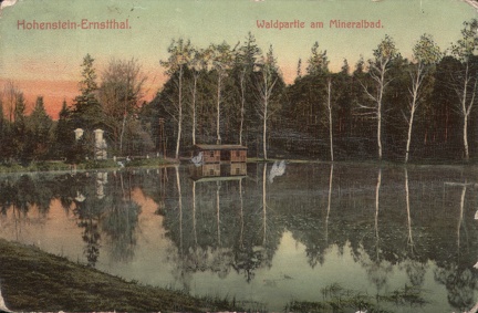 1907, Hohenstein-Ernstthal. Waldpartie am Mineralbad