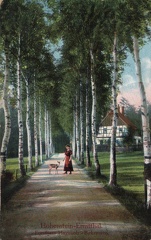 1908, Hohenstein-Ernstthal, Forsthaus Haynholz - Birkenweg