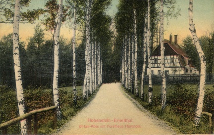 1911, Hohenstein-Ernstthal, Birken-Allee mit Forsthaus Haynholz