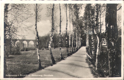 1941, Hohenstein-Ernstthal. Birkenweg Haynholz