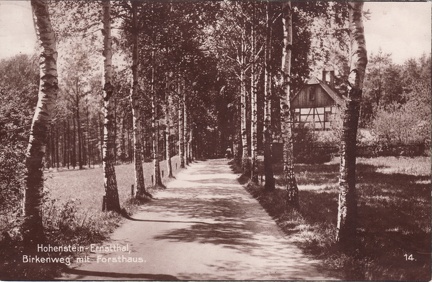 1928, Hohenstein-Ernstthal, Birkenweg mit Forsthaus