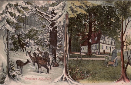 1906, Forsthaus Haynholz