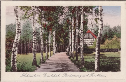 1915, Hohenstein-Ernstthal, Birkenweg mit Forsthaus