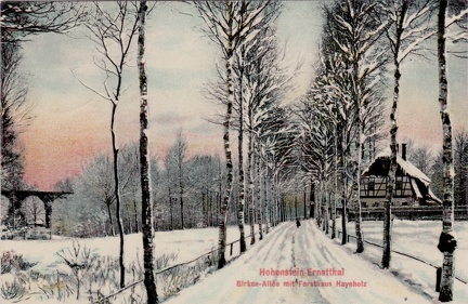 1909, Hohenstein-Ernstthal, Birken-Allee mit Forsthaus Haynholz