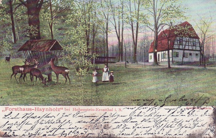 1908, "Forsthaus Haynholz" bei Hohenstein-Ernstthal i. S.