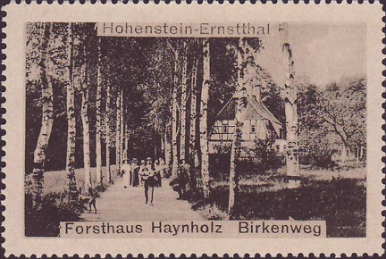 1920, Hohenstein-Ernstthal, Fortshaus Haynholz Birkenweg