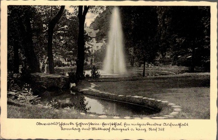 1917, Oberwaldschänke Hohenstein-Ernstthal. Entzückender Aufenthalt. Sonntag und Mittwoch Konzert u. Tanz, Ruf 368