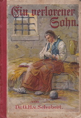 Schubert, Gotthilf Heinrich von, Ein verlorener Sohn (Geschichte eines Armenfreundes)